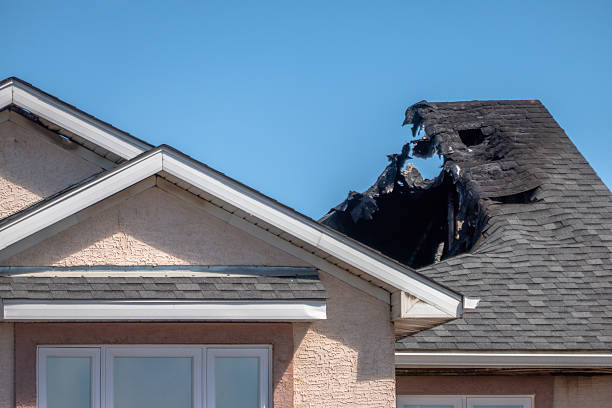 Top rated local Odor Removal specialists in Scottsdale, AZ